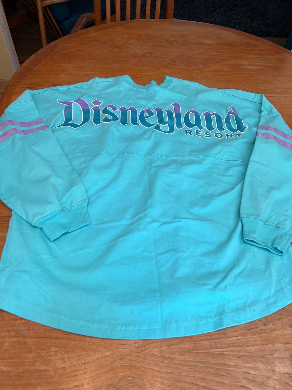 Disneyland Resort Spirit Jersey XXL